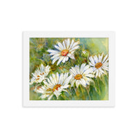 Shasta Daisy Illustration Framed Print