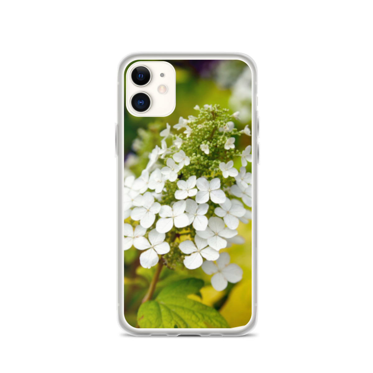 Panicle Hydrangea iPhone Case