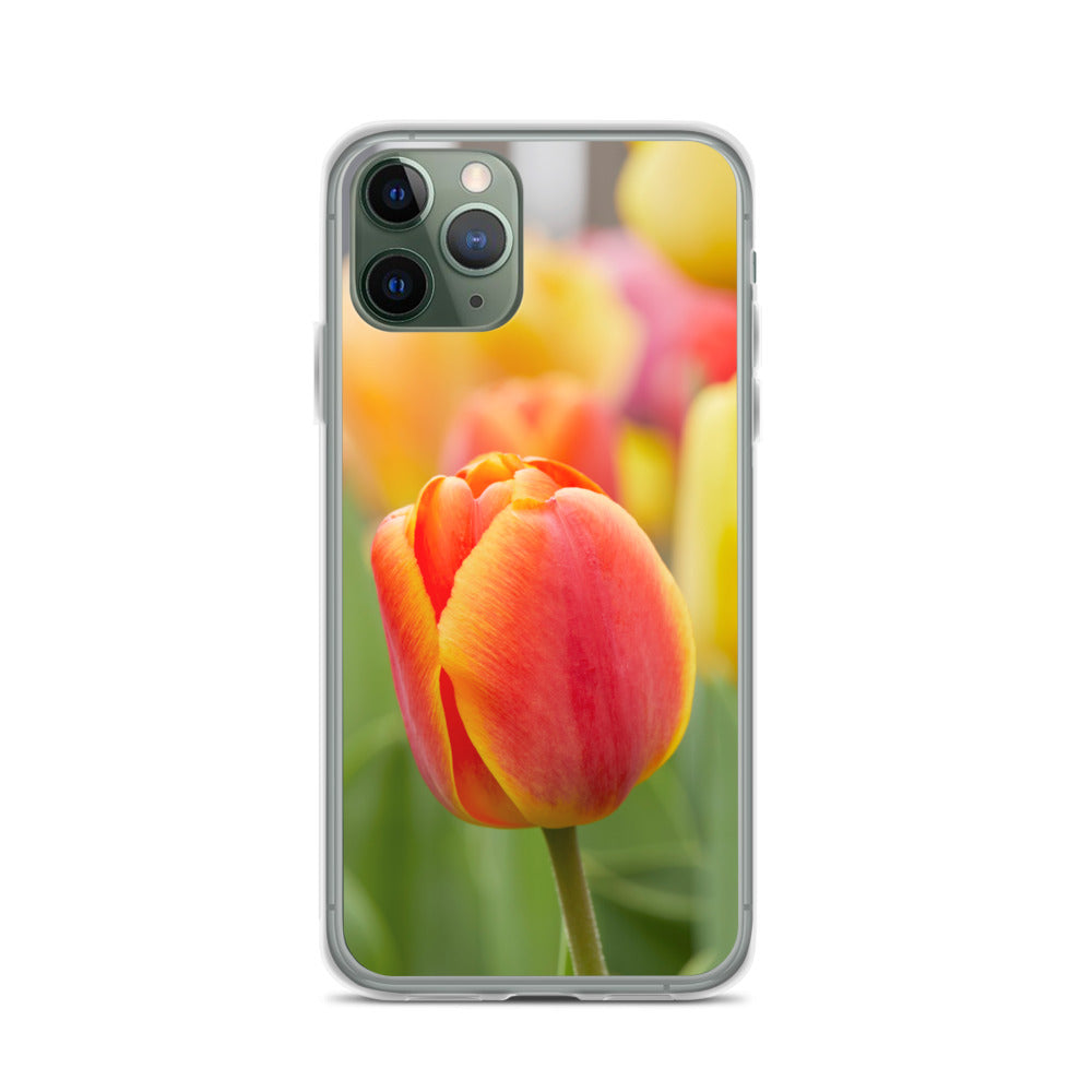 Colorful Tulip iPhone Case