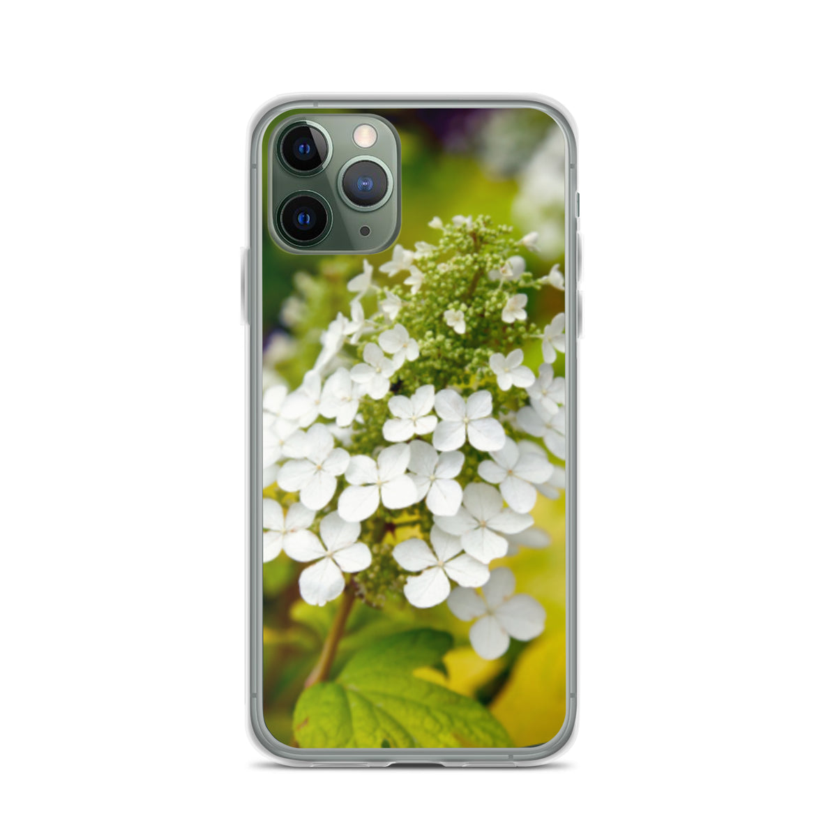 Panicle Hydrangea iPhone Case