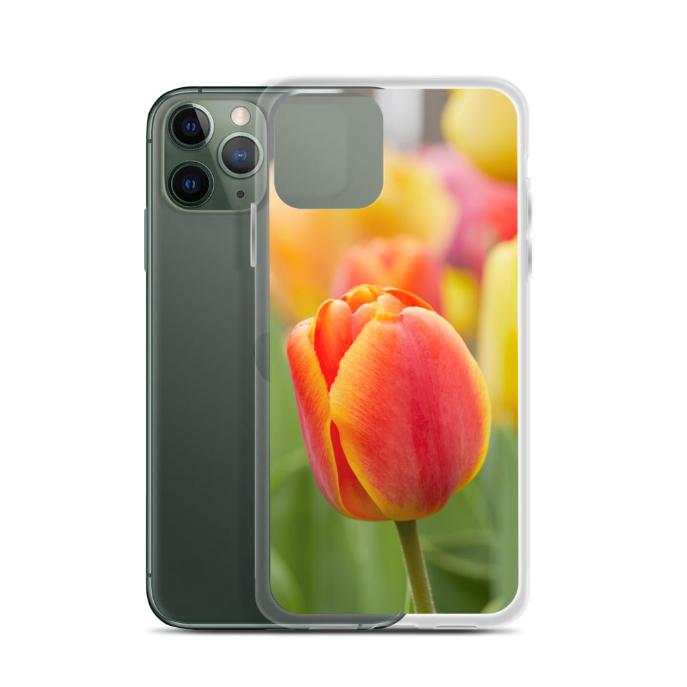 Colorful Tulip iPhone Case