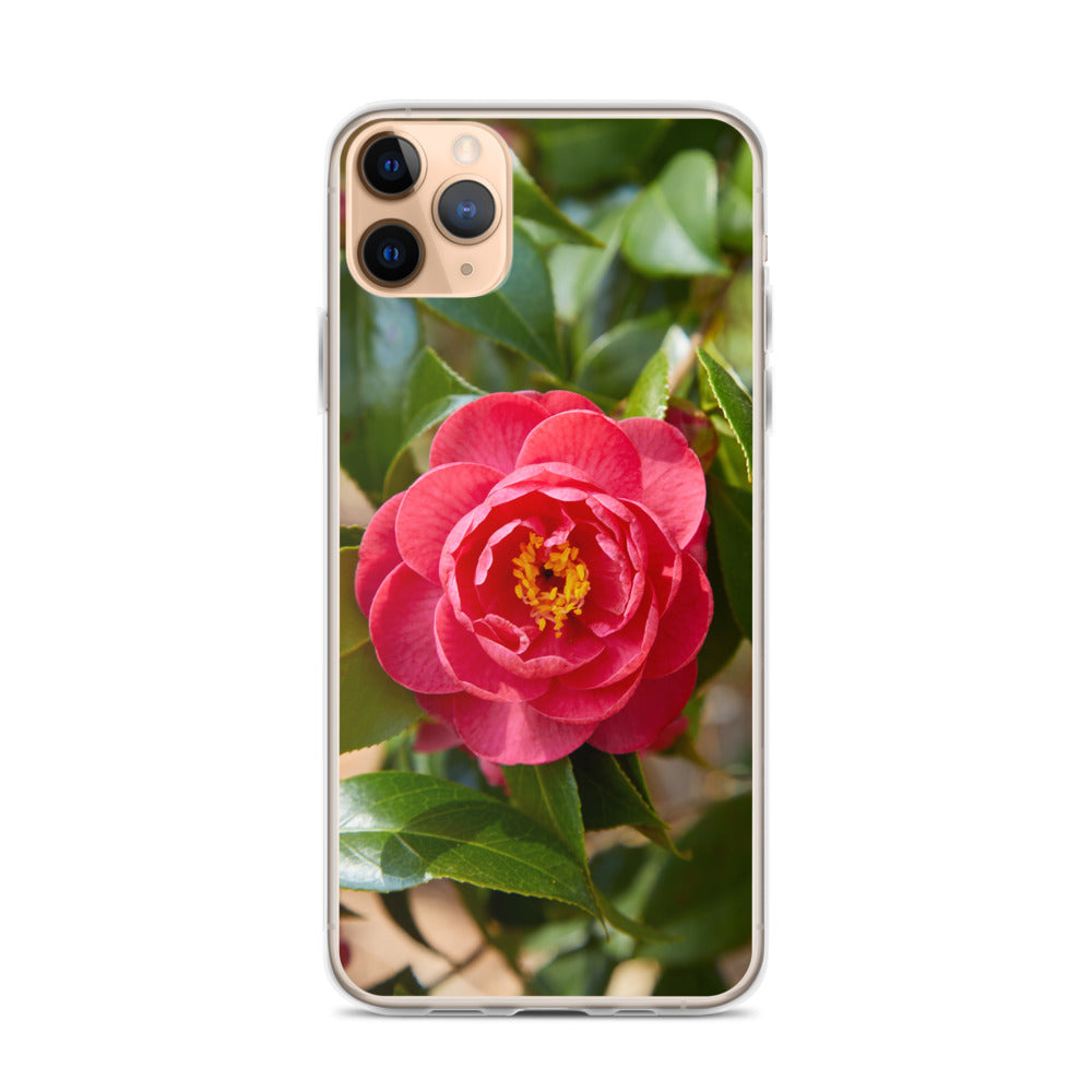Red Camelia iPhone Case