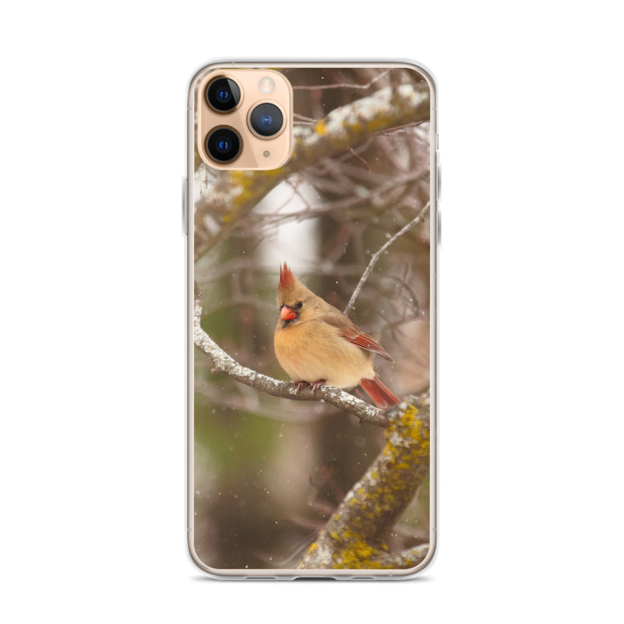 Cardinal iPhone Case 