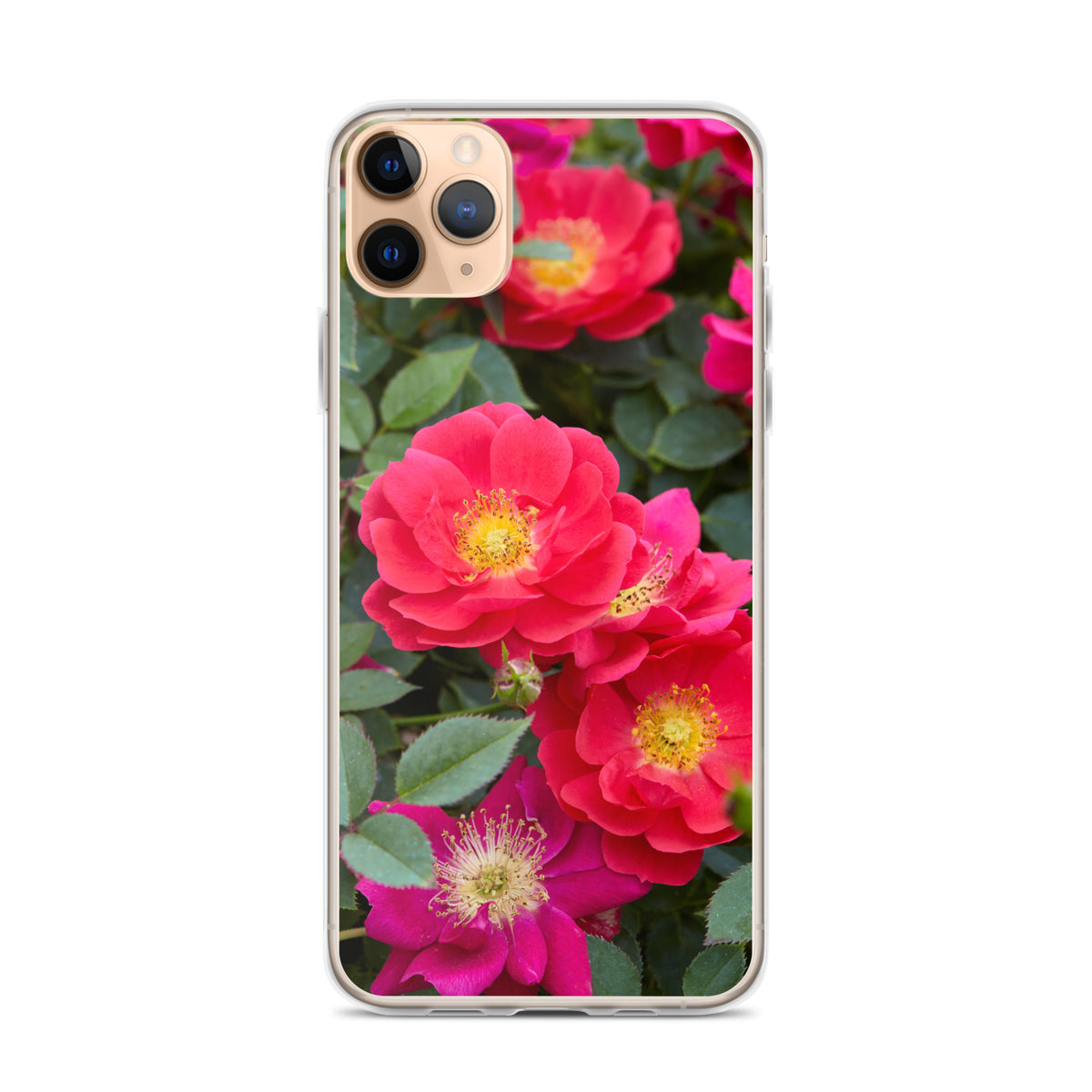 Colorful Roses iPhone Case