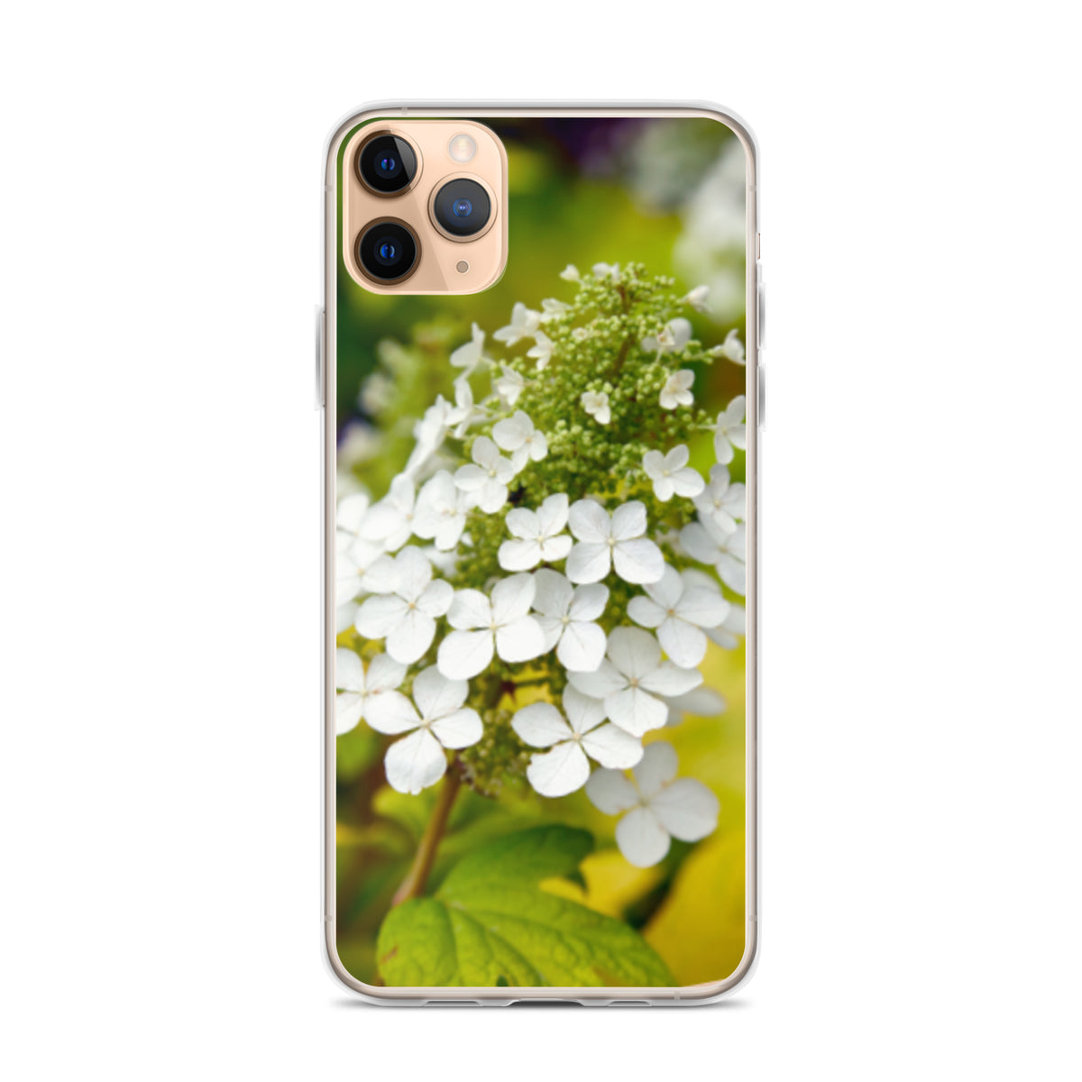 Panicle Hydrangea iPhone Case