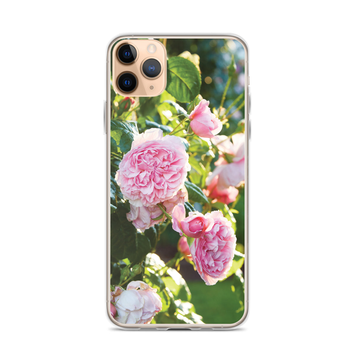 Pink Roses iPhone Case