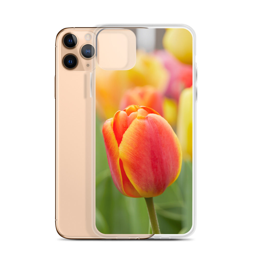 Colorful Tulip iPhone Case