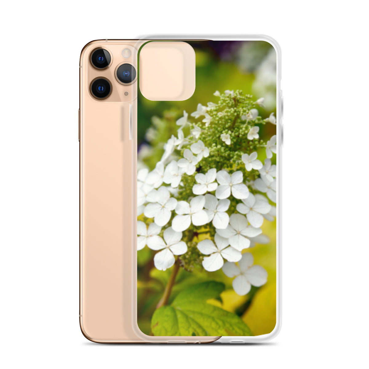 Panicle Hydrangea iPhone Case