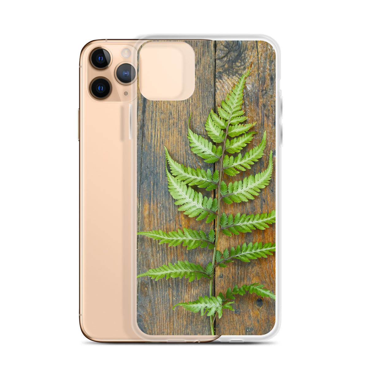 Fern iPhone Case