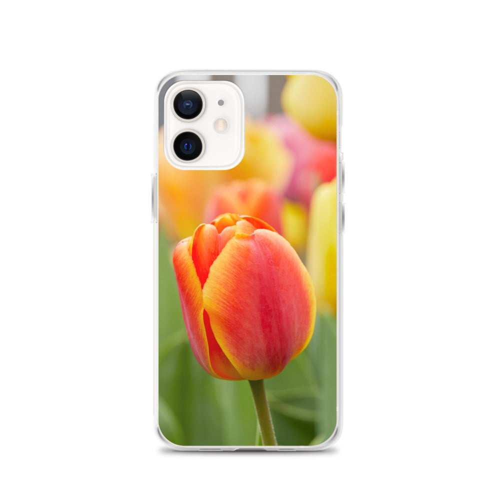 Colorful Tulip iPhone Case