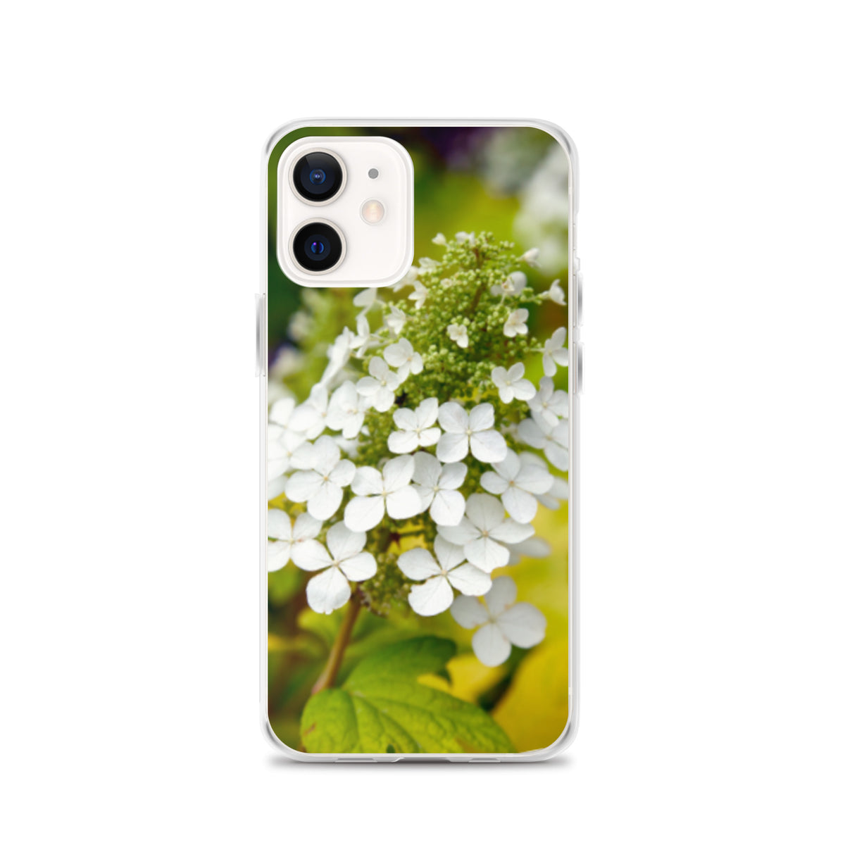 Panicle Hydrangea iPhone Case