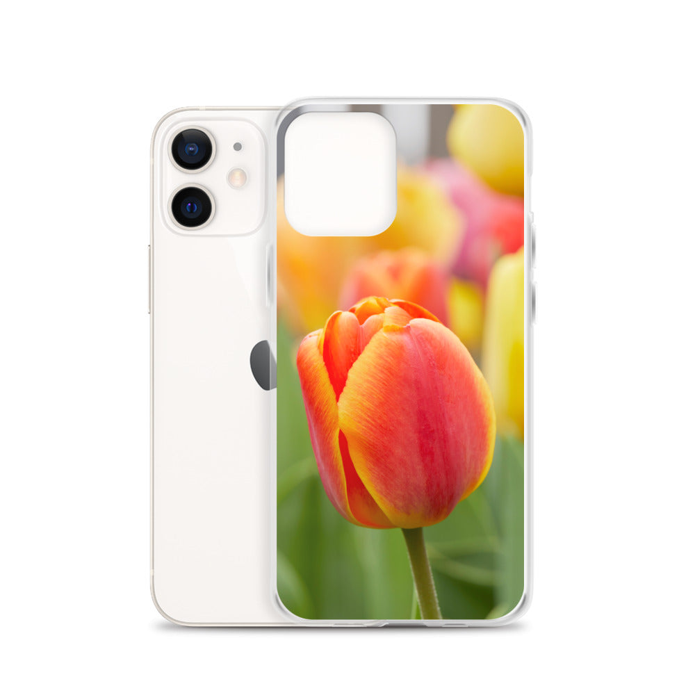 Colorful Tulip iPhone Case
