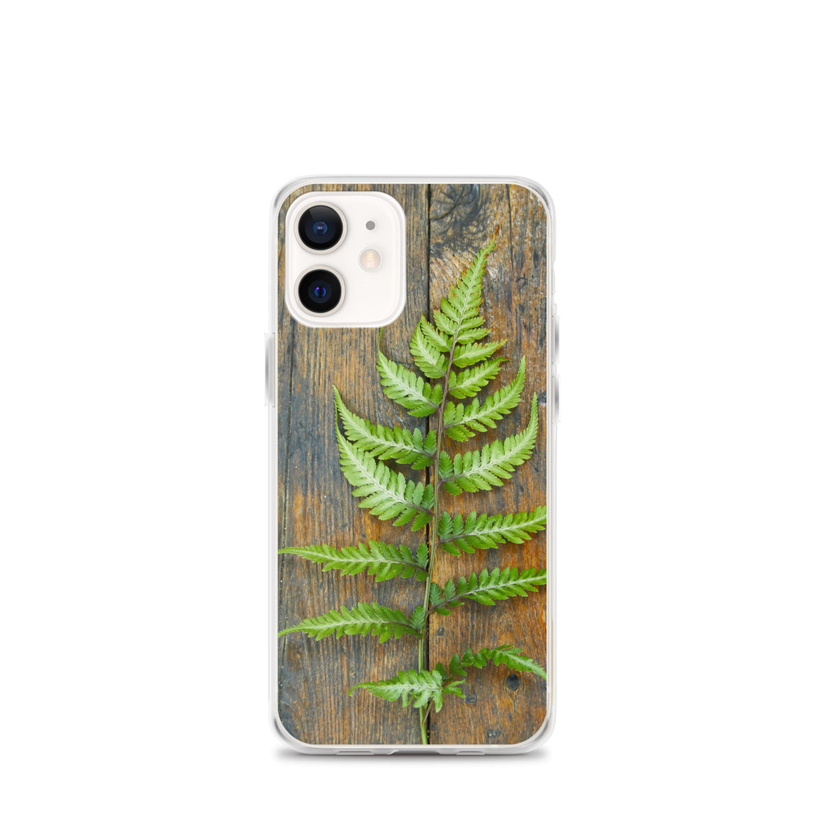 Fern iPhone Case