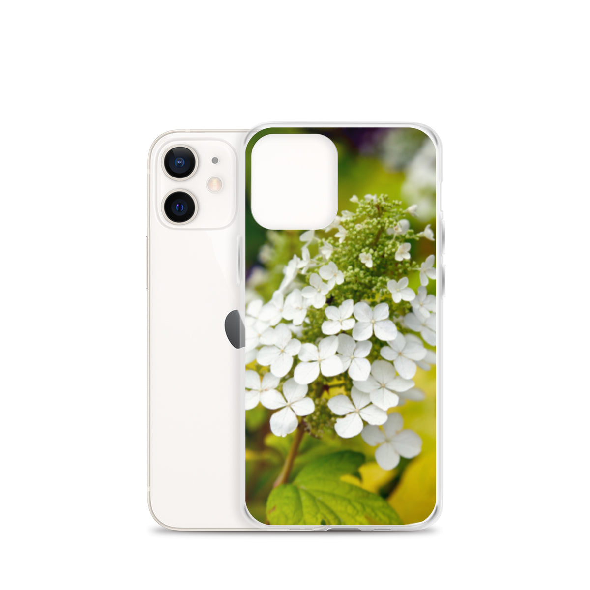 Panicle Hydrangea iPhone Case