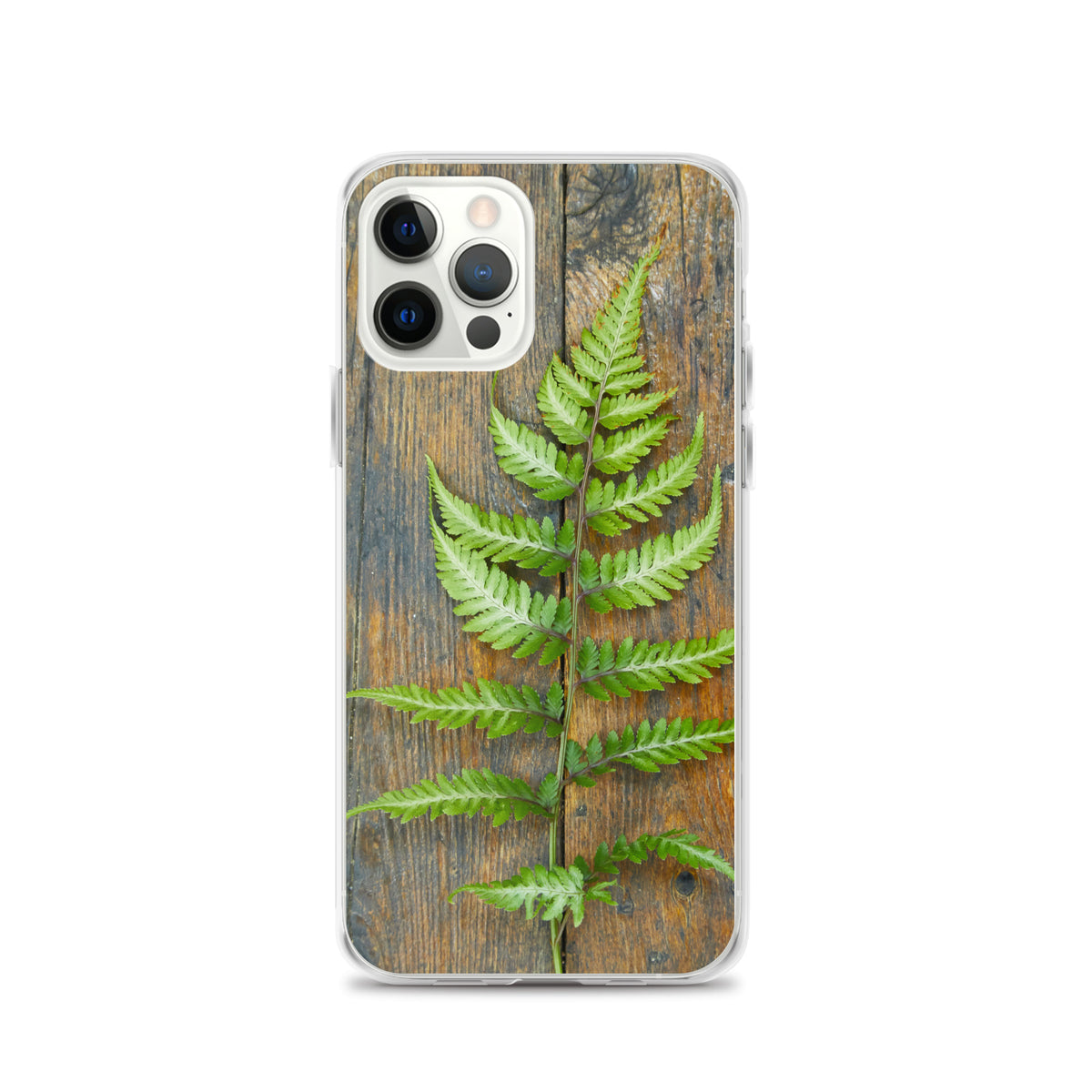 Fern iPhone Case