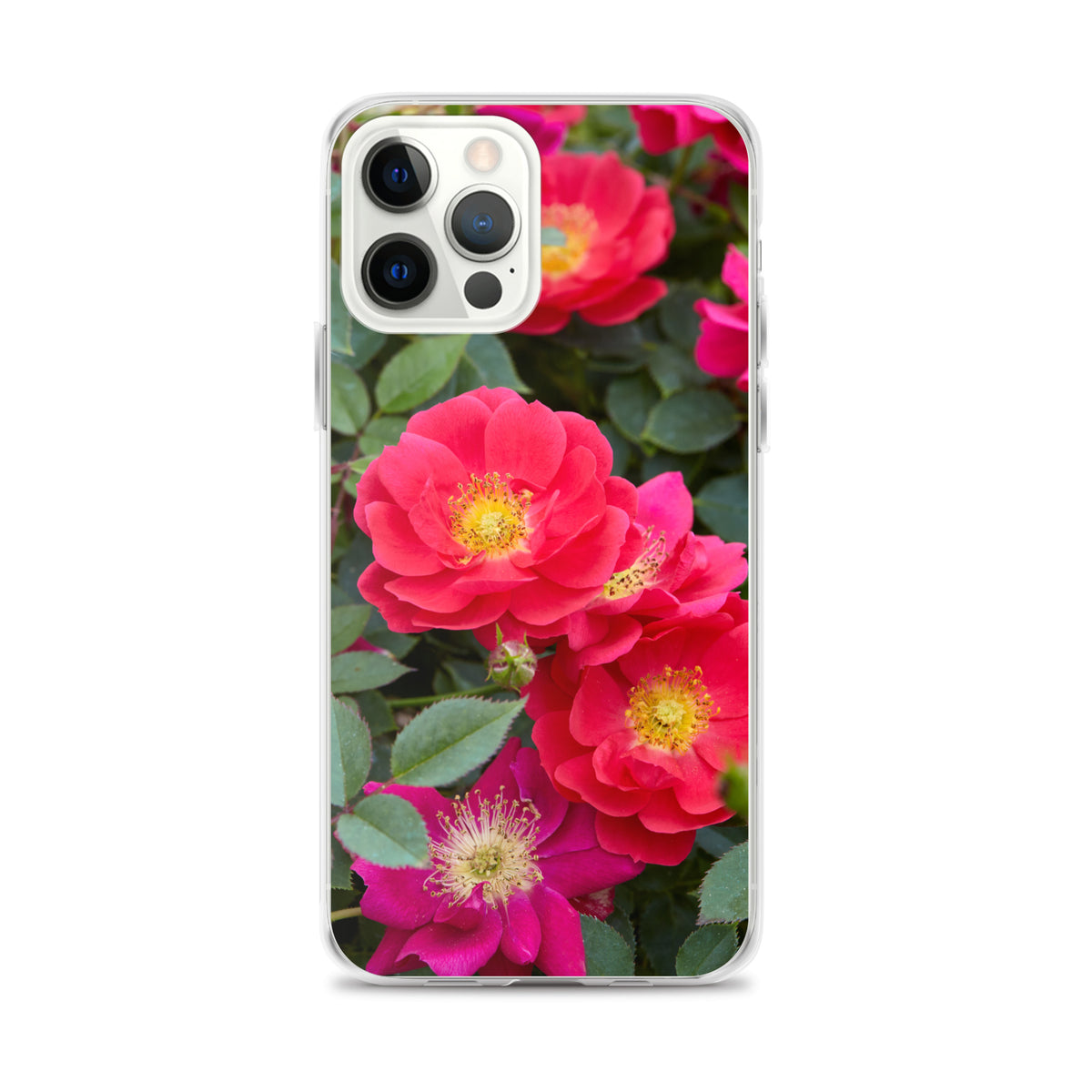 Colorful Roses iPhone Case