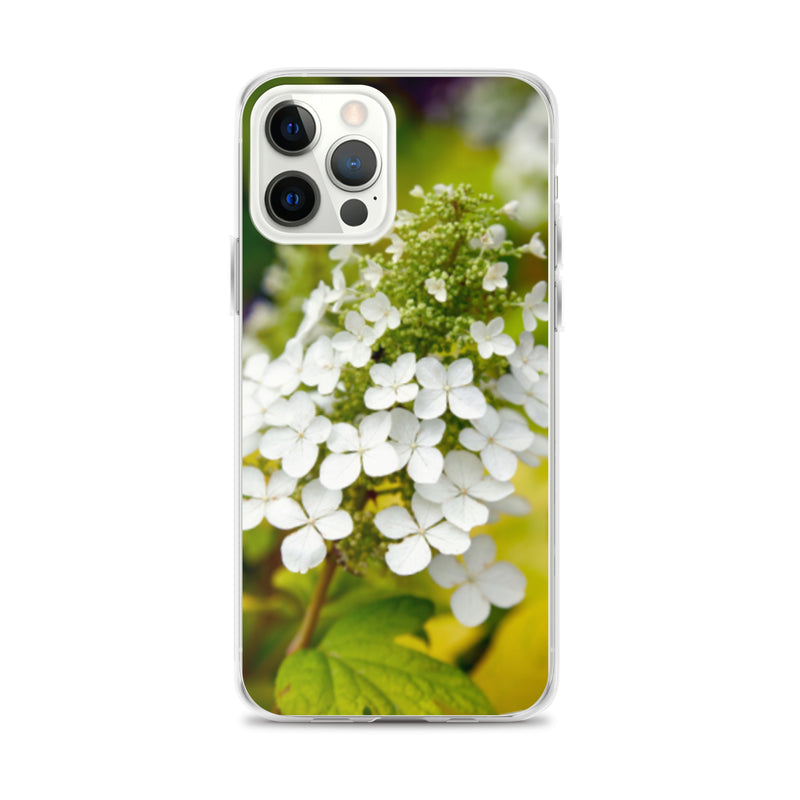 Panicle Hydrangea iPhone Case