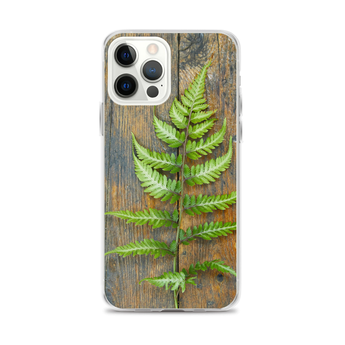 Fern iPhone Case
