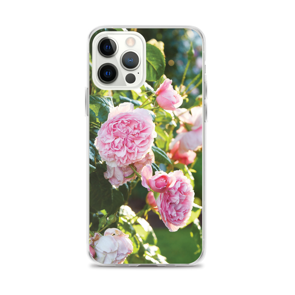 Pink Roses iPhone Case