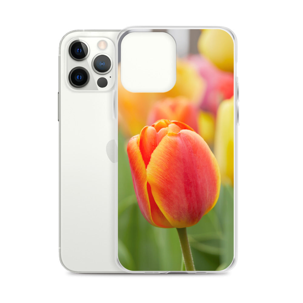 Colorful Tulip iPhone Case