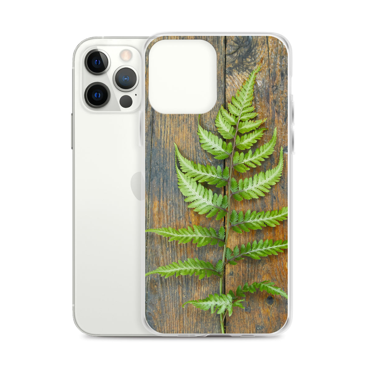 Fern iPhone Case