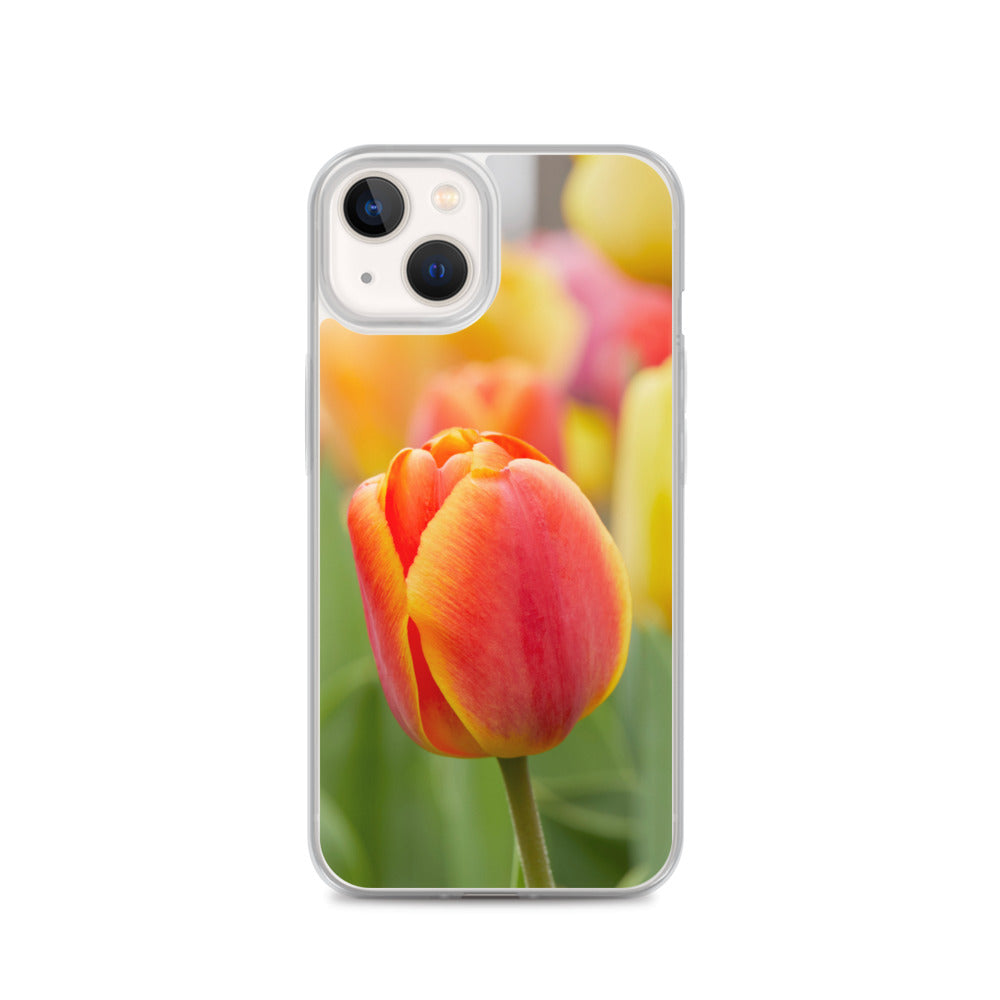 Colorful Tulip iPhone Case