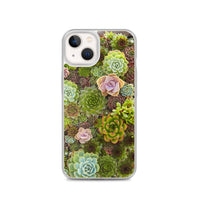 Succulent iPhone Case