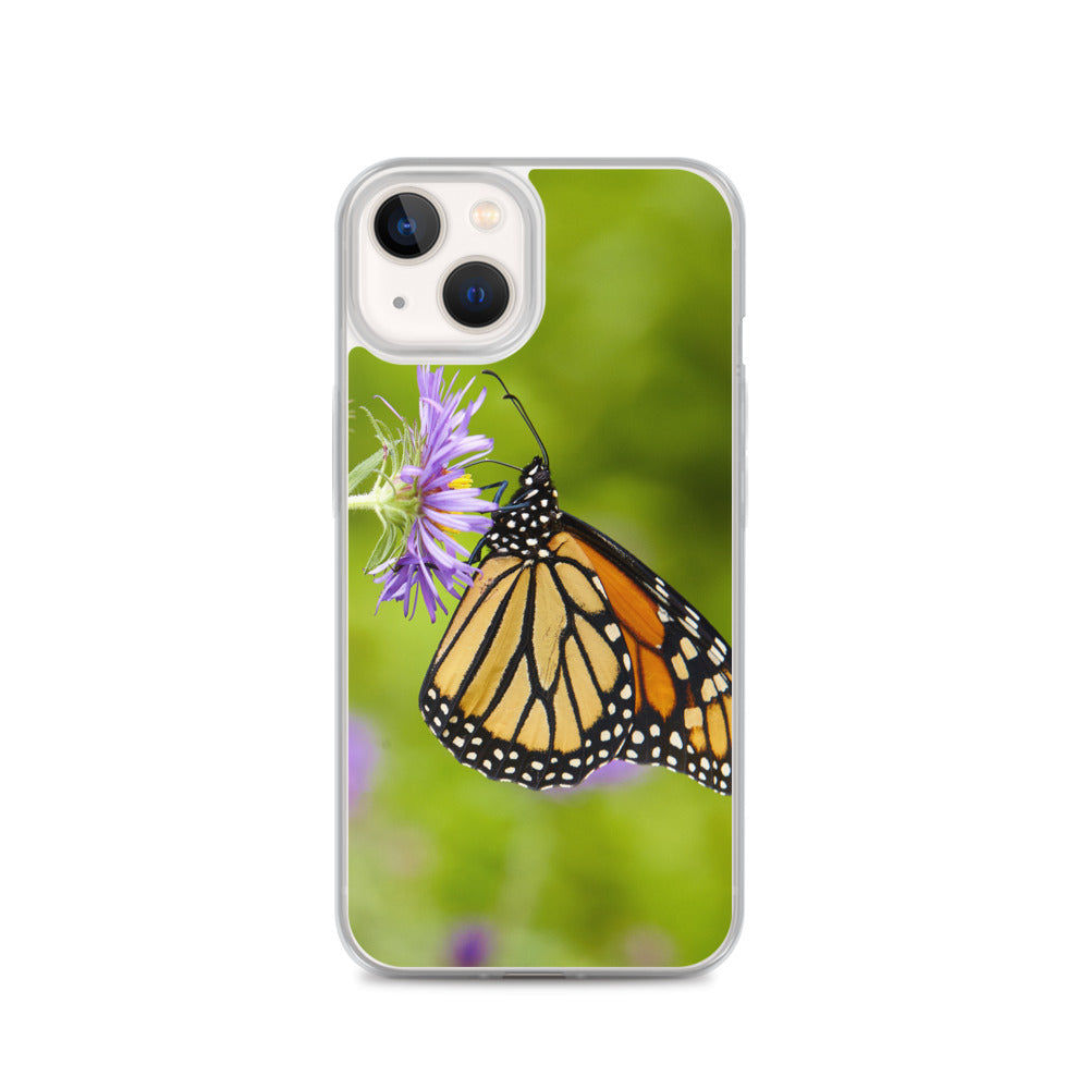 Monarch on Aster iPhone Case