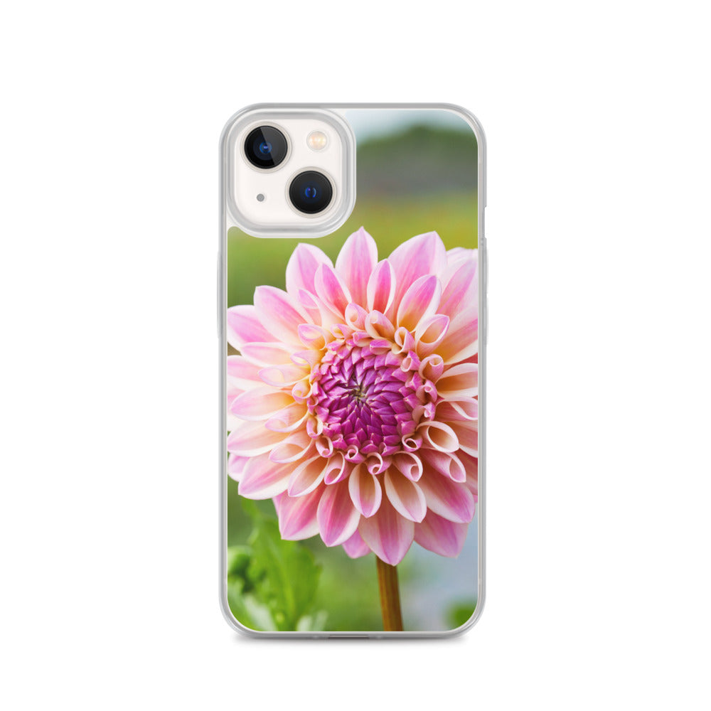 Pink Dahlia iPhone Case