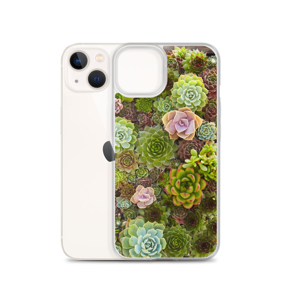 Succulent iPhone Case