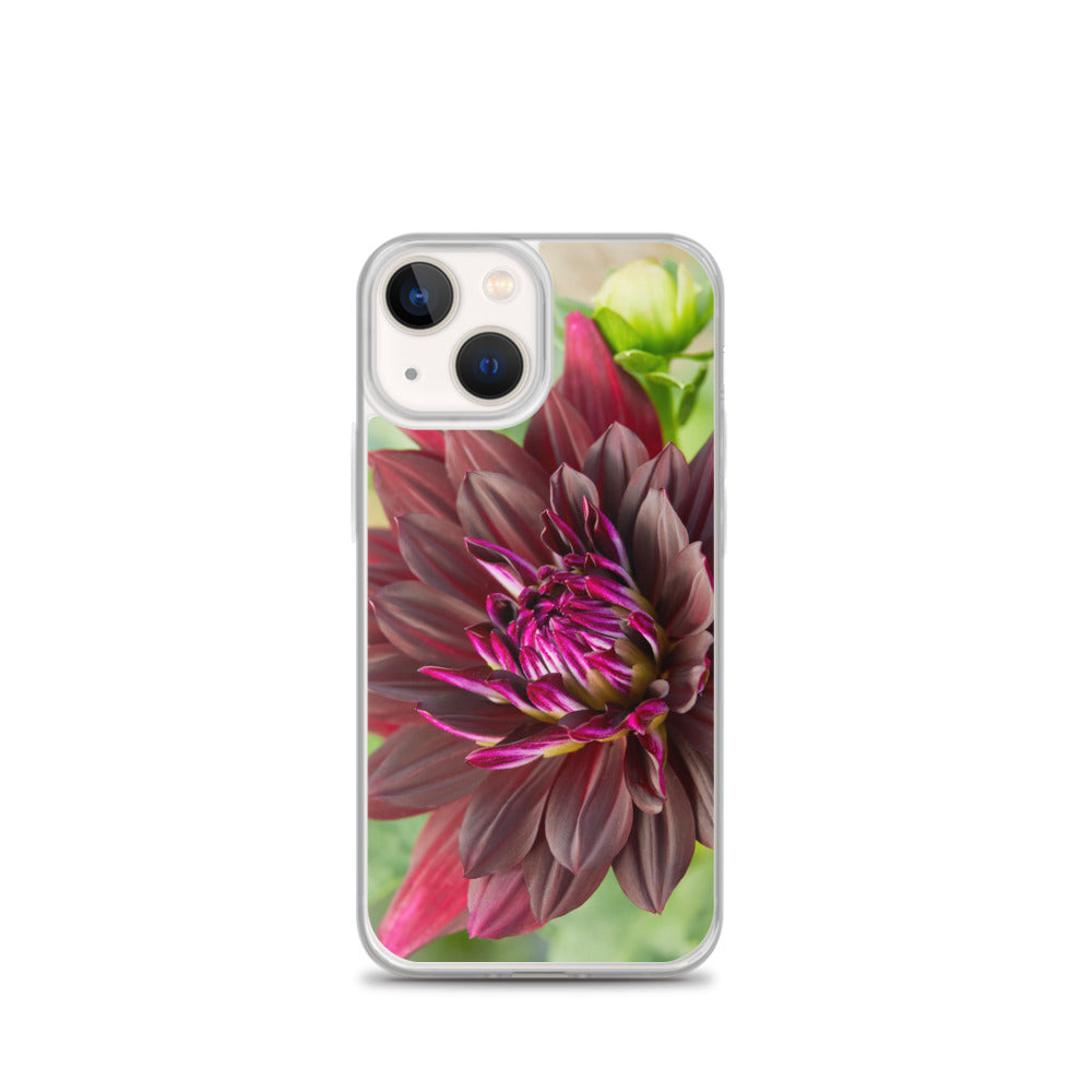 Black Dahlia iPhone Case