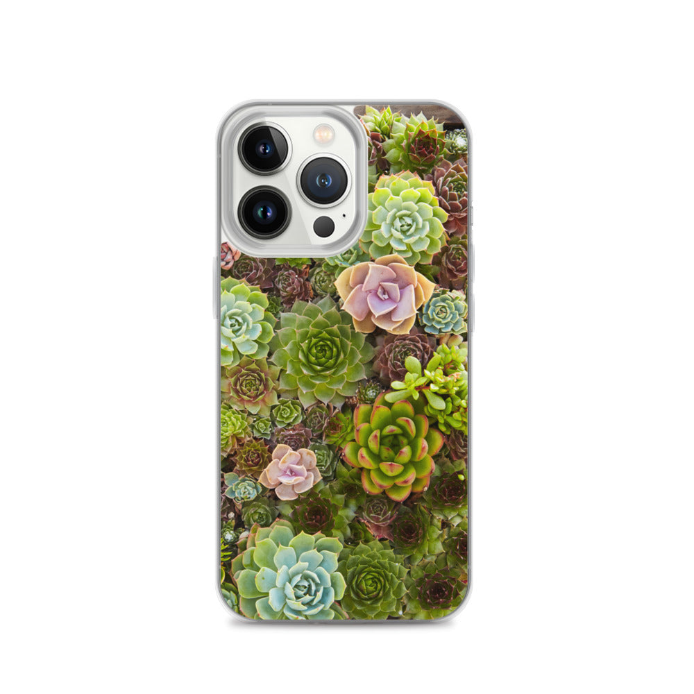 Succulent iPhone Case