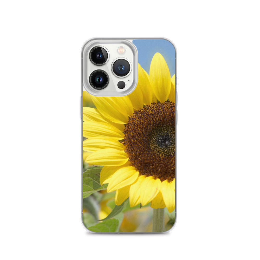Sunflower iPhone Case