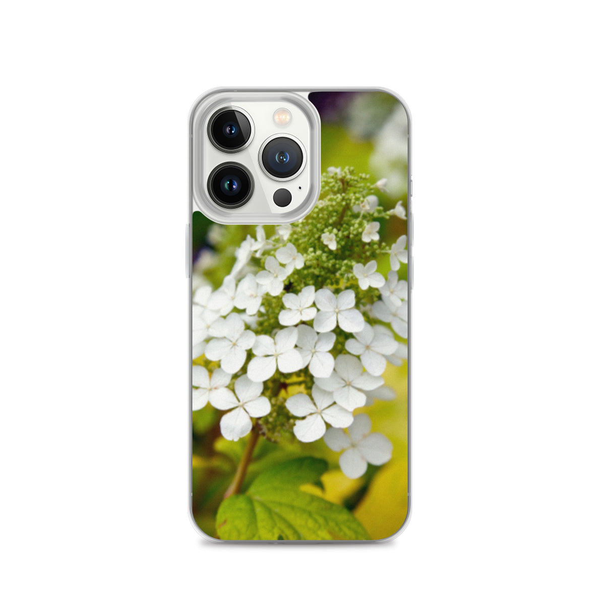 Panicle Hydrangea iPhone Case