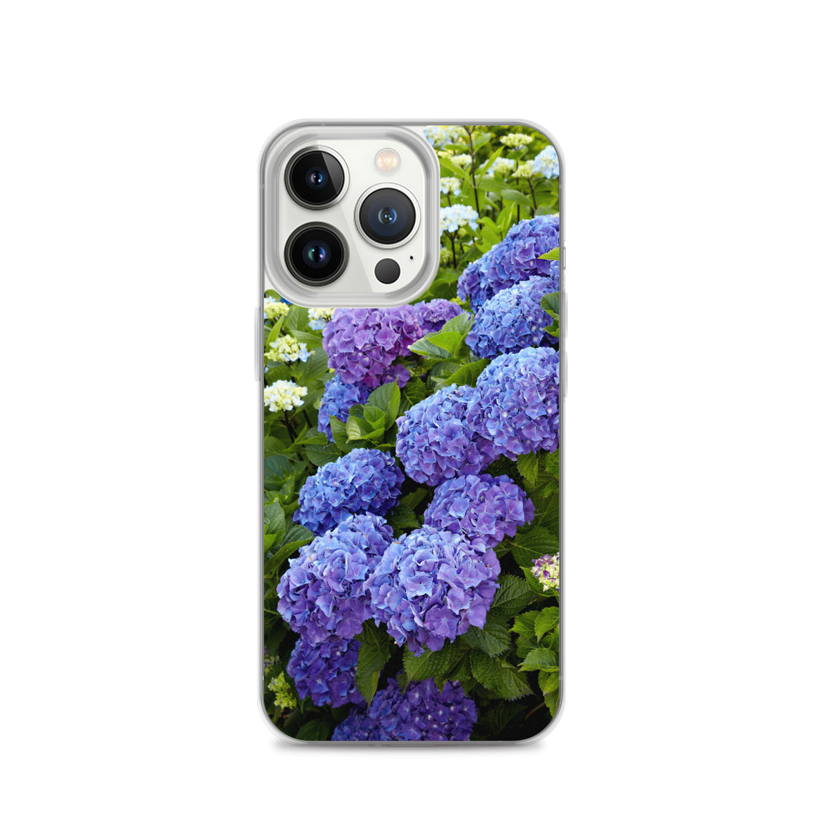 Blue Hydrangea iPhone Case