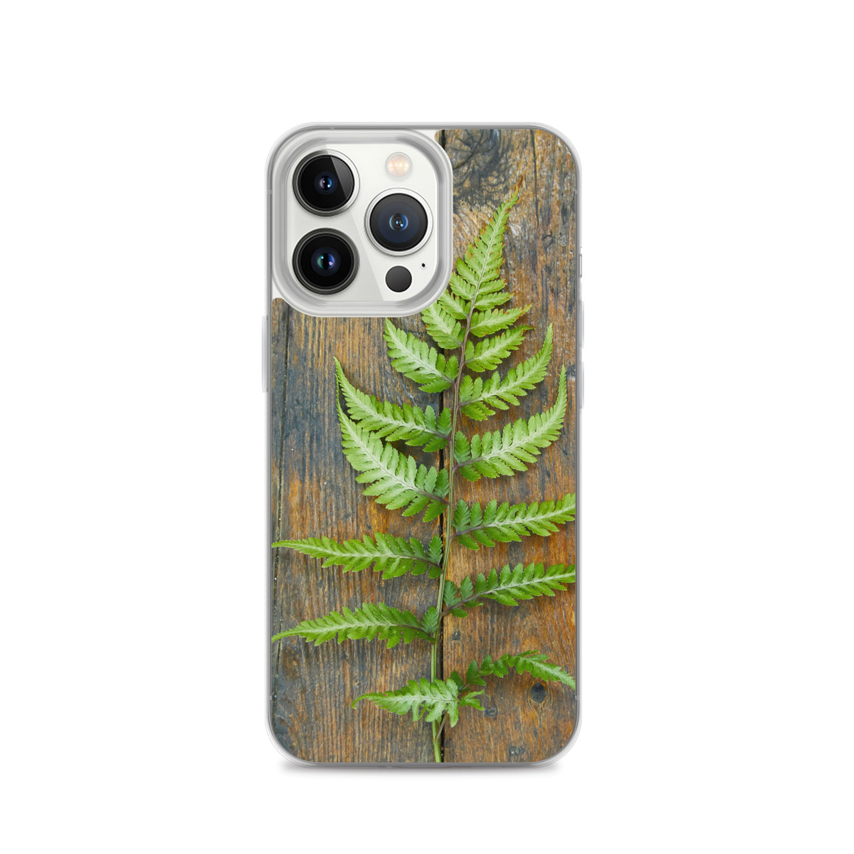 Fern iPhone Case