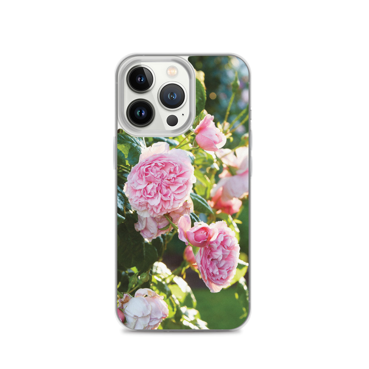 Pink Roses iPhone Case