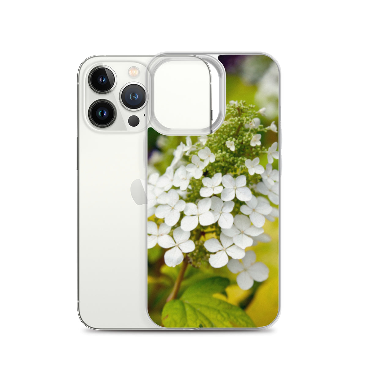 Panicle Hydrangea iPhone Case