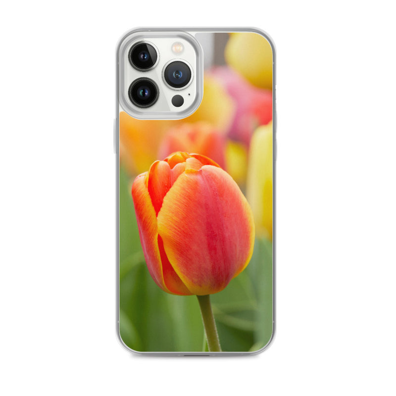 Colorful Tulip iPhone Case