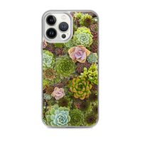 Succulent iPhone Case