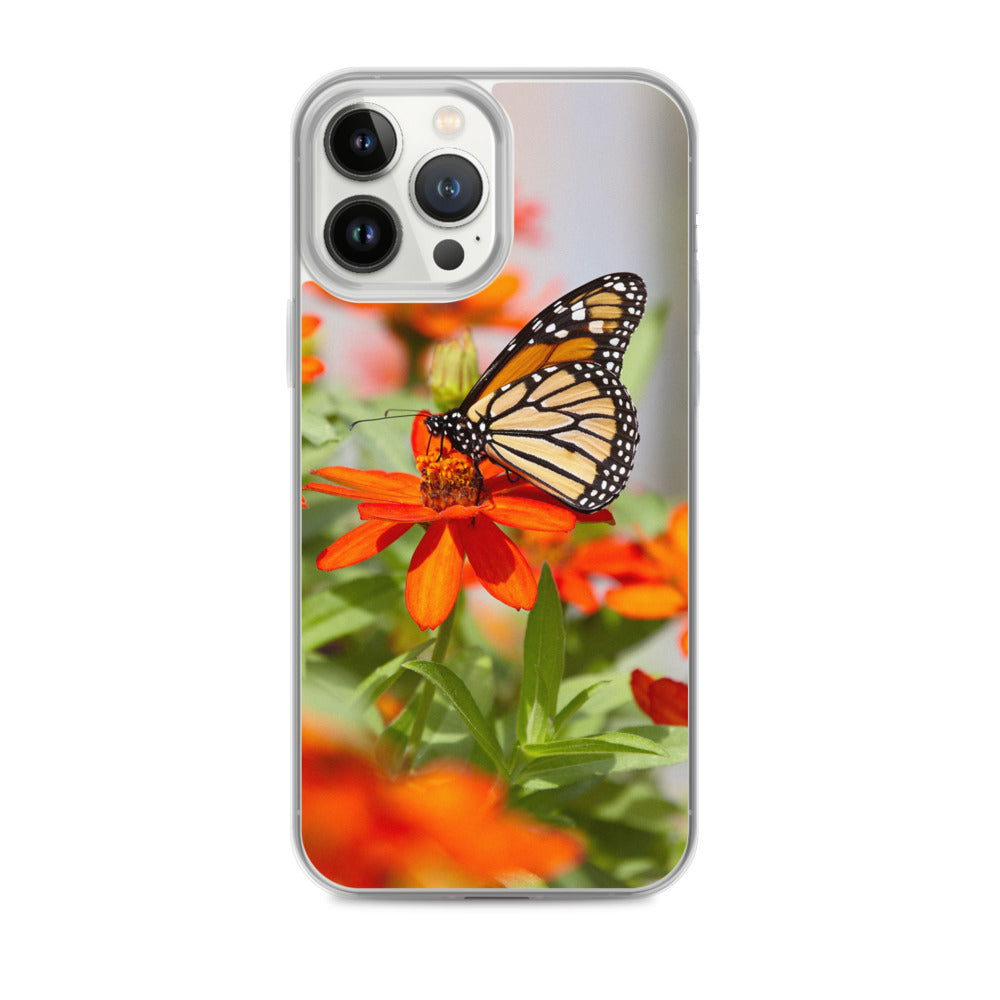 Monarch on Zinnia iPhone Case