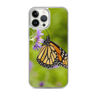 Monarch on Aster iPhone Case