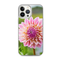 Pink Dahlia iPhone Case