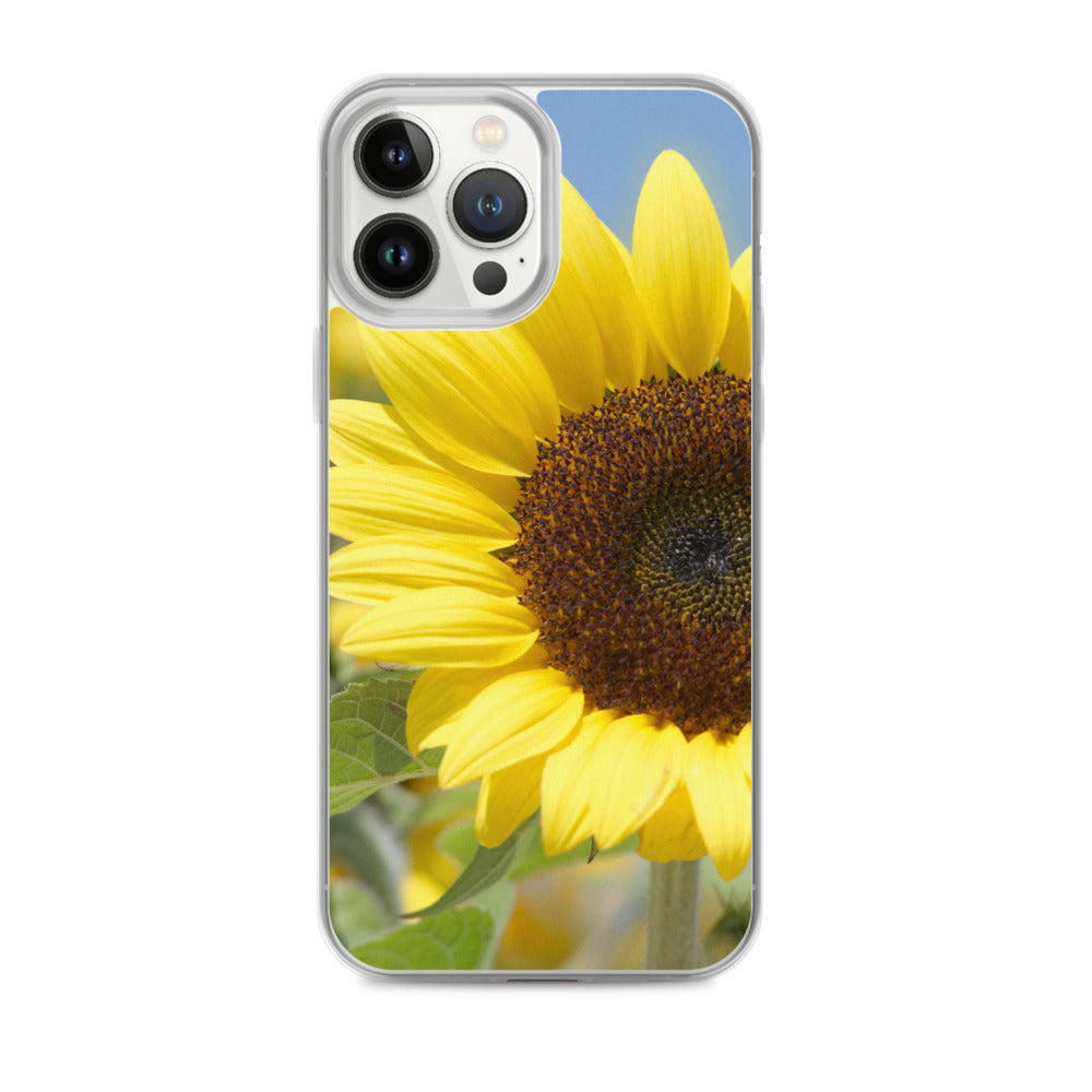 Sunflower iPhone Case