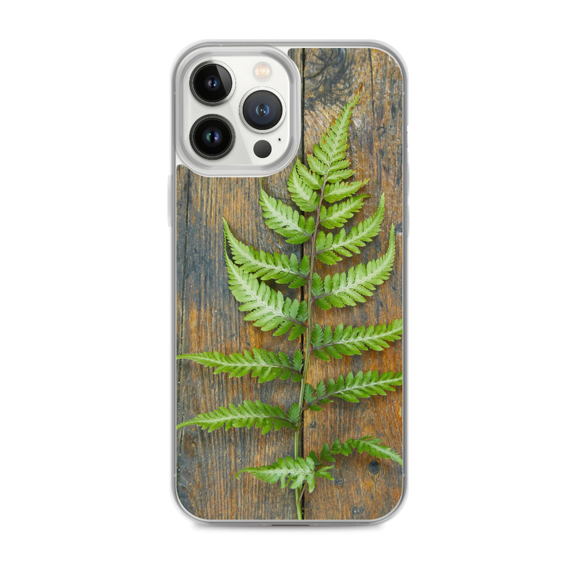 Fern iPhone Case