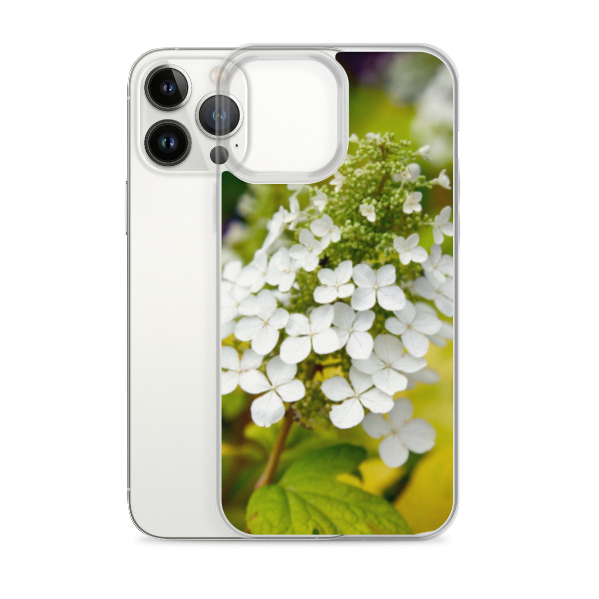 Panicle Hydrangea iPhone Case