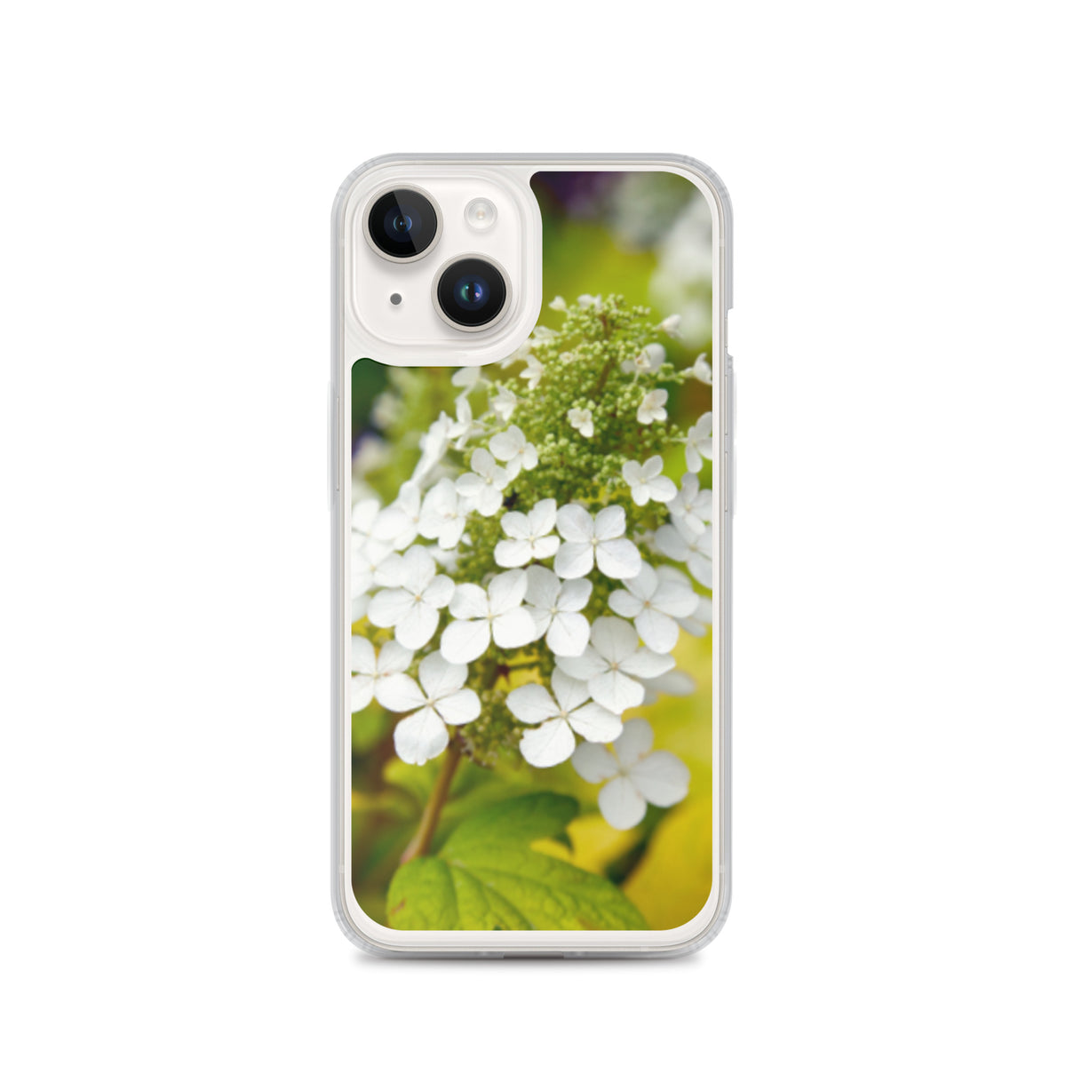 Panicle Hydrangea iPhone Case
