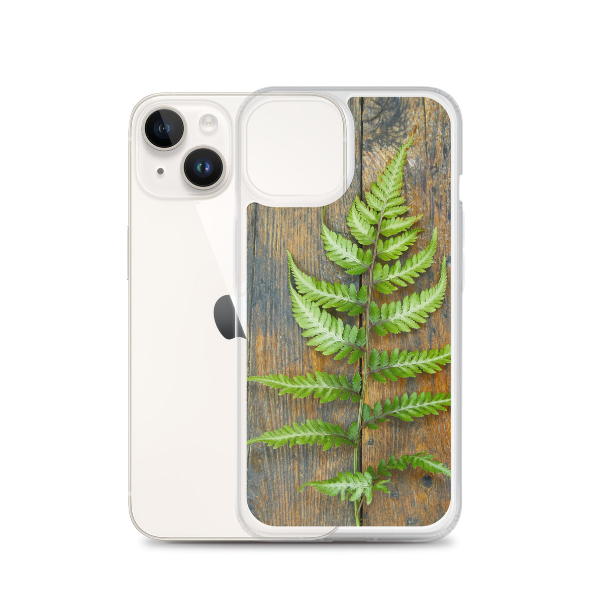 Fern iPhone Case