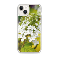 Panicle Hydrangea iPhone Case