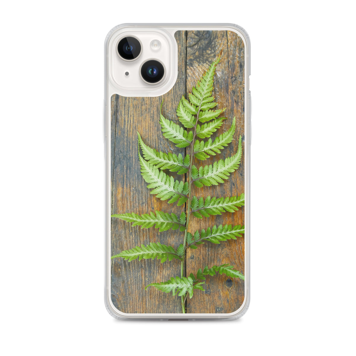 Fern iPhone Case